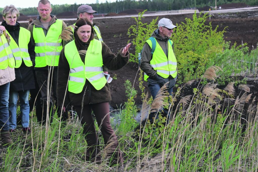 Purvam iedod jaunu dzīvi, piešķir jaunu mērķi