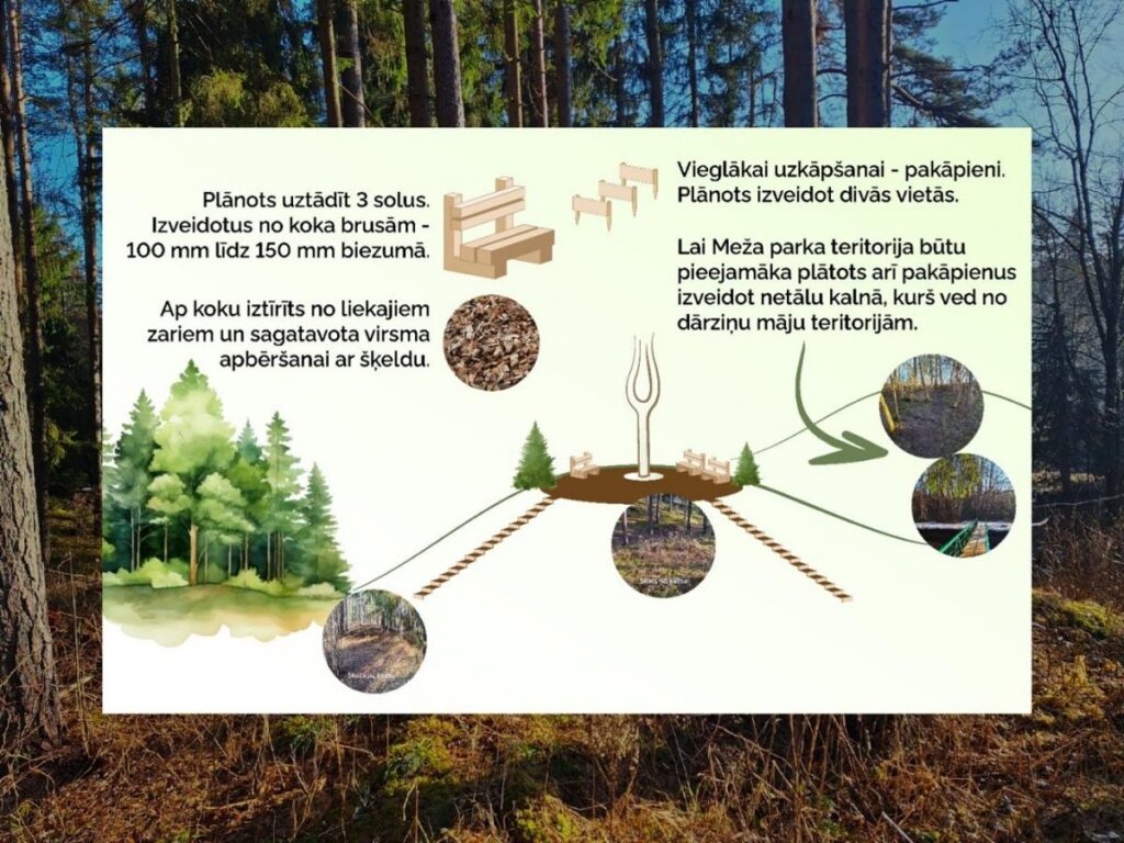 Meža diena 2026 Valkas Mežaparkā