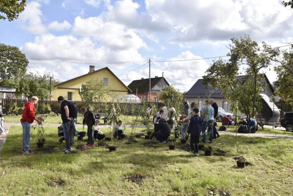 Ludzā jaunais skvērs papildināts ar apstādījumiem